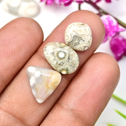 31.9 carats Ocean Jasper  Mix Shape Cabochon 9x15mm - 8x12mm  AA Grade Gemstone Parcel - Total 10 Pcs