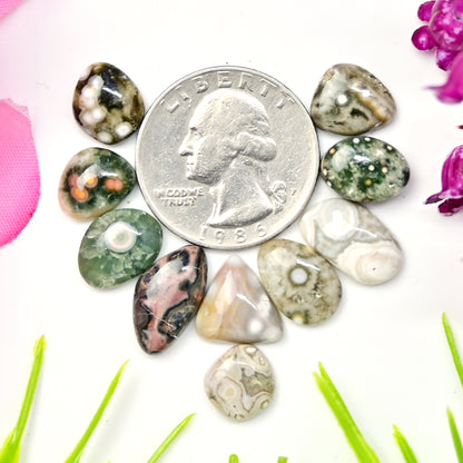 31.9 carats Ocean Jasper  Mix Shape Cabochon 9x15mm - 8x12mm  AA Grade Gemstone Parcel - Total 10 Pcs