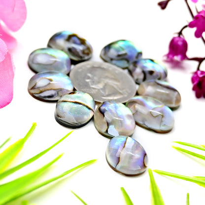 105.8cts Abalone Shell Smooth Cabochon 13x18mm - 12x16mm AA Grade Gemstone Parcel -Total 10 Pcs