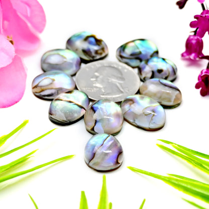 105.8cts Abalone Shell Smooth Cabochon 13x18mm - 12x16mm AA Grade Gemstone Parcel -Total 10 Pcs