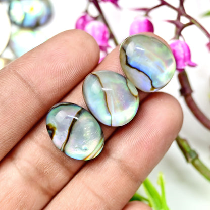 105.8cts Abalone Shell Smooth Cabochon 13x18mm - 12x16mm AA Grade Gemstone Parcel -Total 10 Pcs