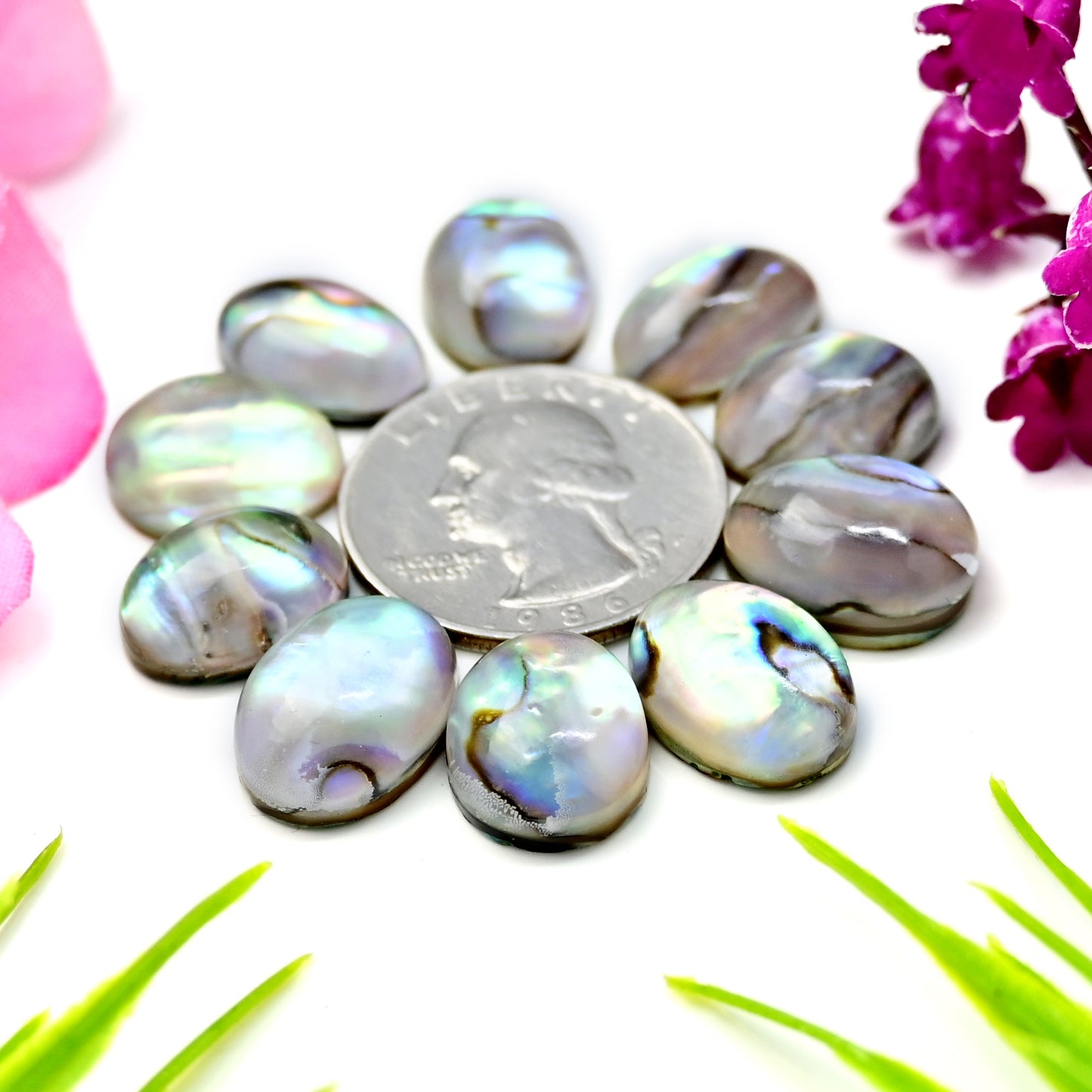 83.2cts Abalone Shell Doublet with Himalayan Crystal Quartz Smooth Cabochon 12X17mm - 10x15mm AA Grade Gemstone Parcel -Total 10 Pcs