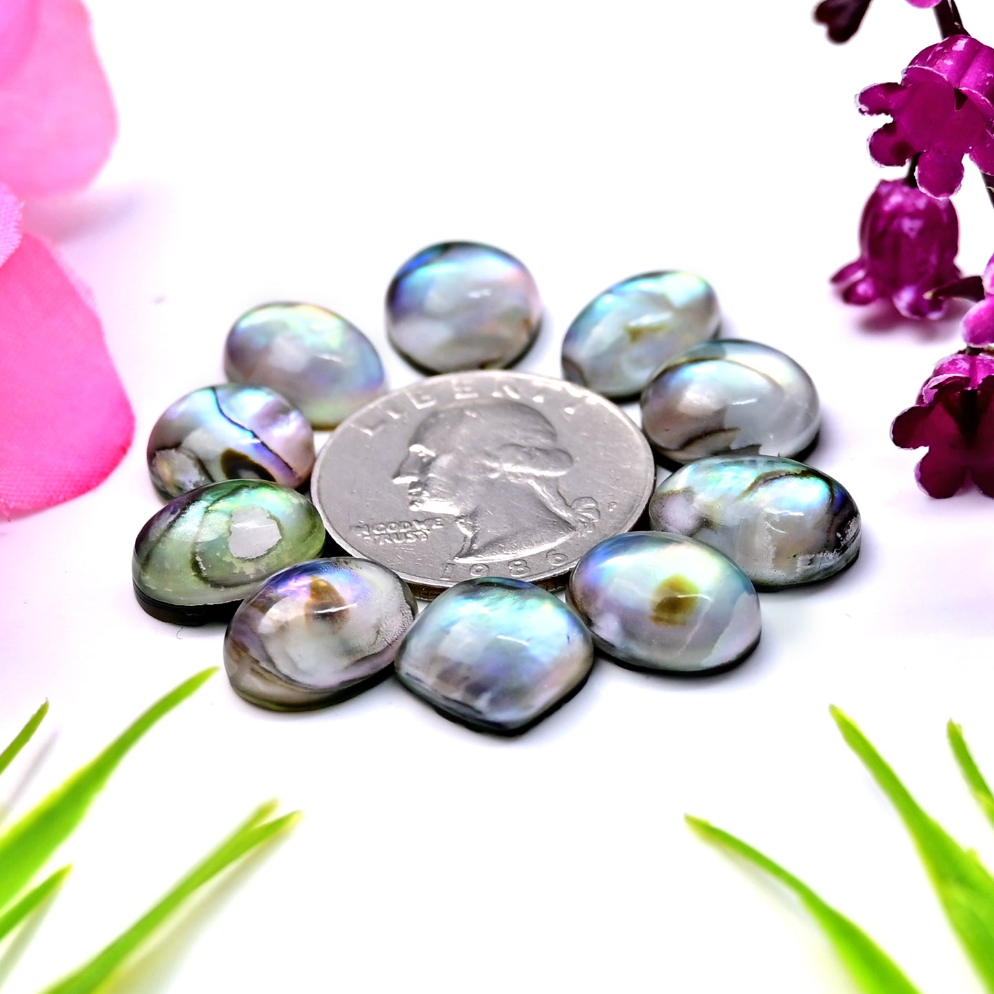 64,6 ct Abalone-Muschel-Dublette mit Himalaya-Bergkristall, glatter Cabochon, 10 x 14 mm – 13 x 13 mm, Edelsteinpaket der Güteklasse AA, insgesamt 10 Stück