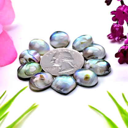 64.6cts Abalone Shell Doublet with Himalayan Crystal Quartz Smooth Cabochon 10x14mm - 13x13mm AA Grade Gemstone Parcel -Total 10 Pcs