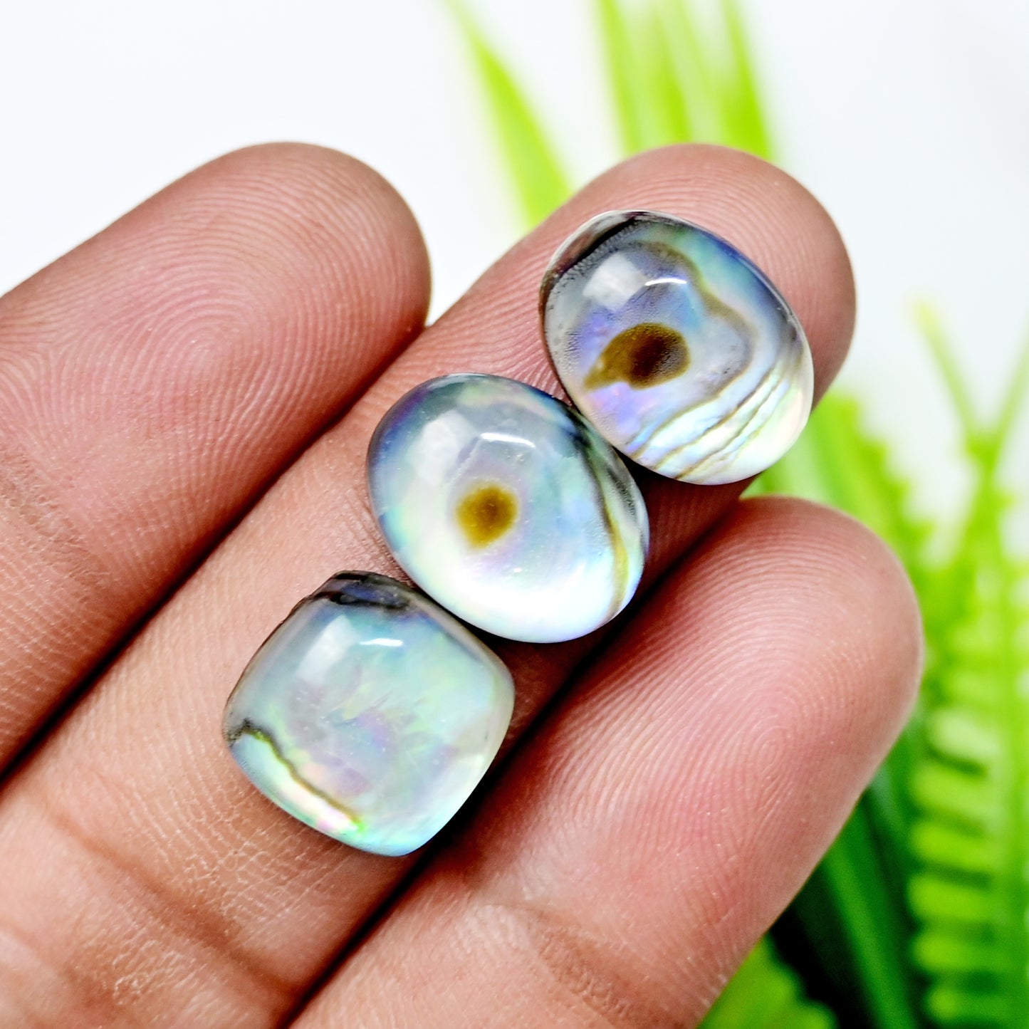 64.6cts Abalone Shell Doublet with Himalayan Crystal Quartz Smooth Cabochon 10x14mm - 13x13mm AA Grade Gemstone Parcel -Total 10 Pcs