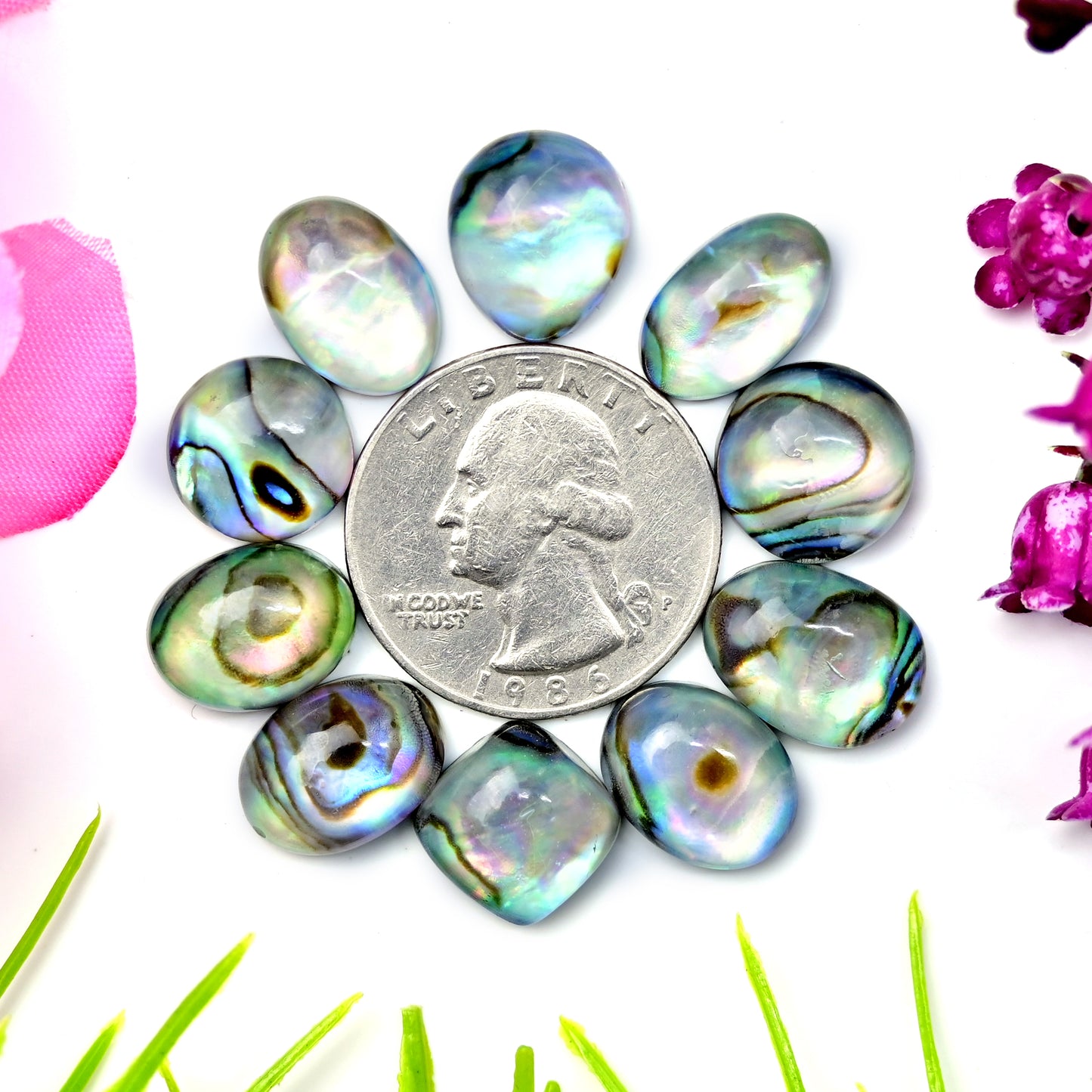 64.6cts Abalone Shell Doublet with Himalayan Crystal Quartz Smooth Cabochon 10x14mm - 13x13mm AA Grade Gemstone Parcel -Total 10 Pcs