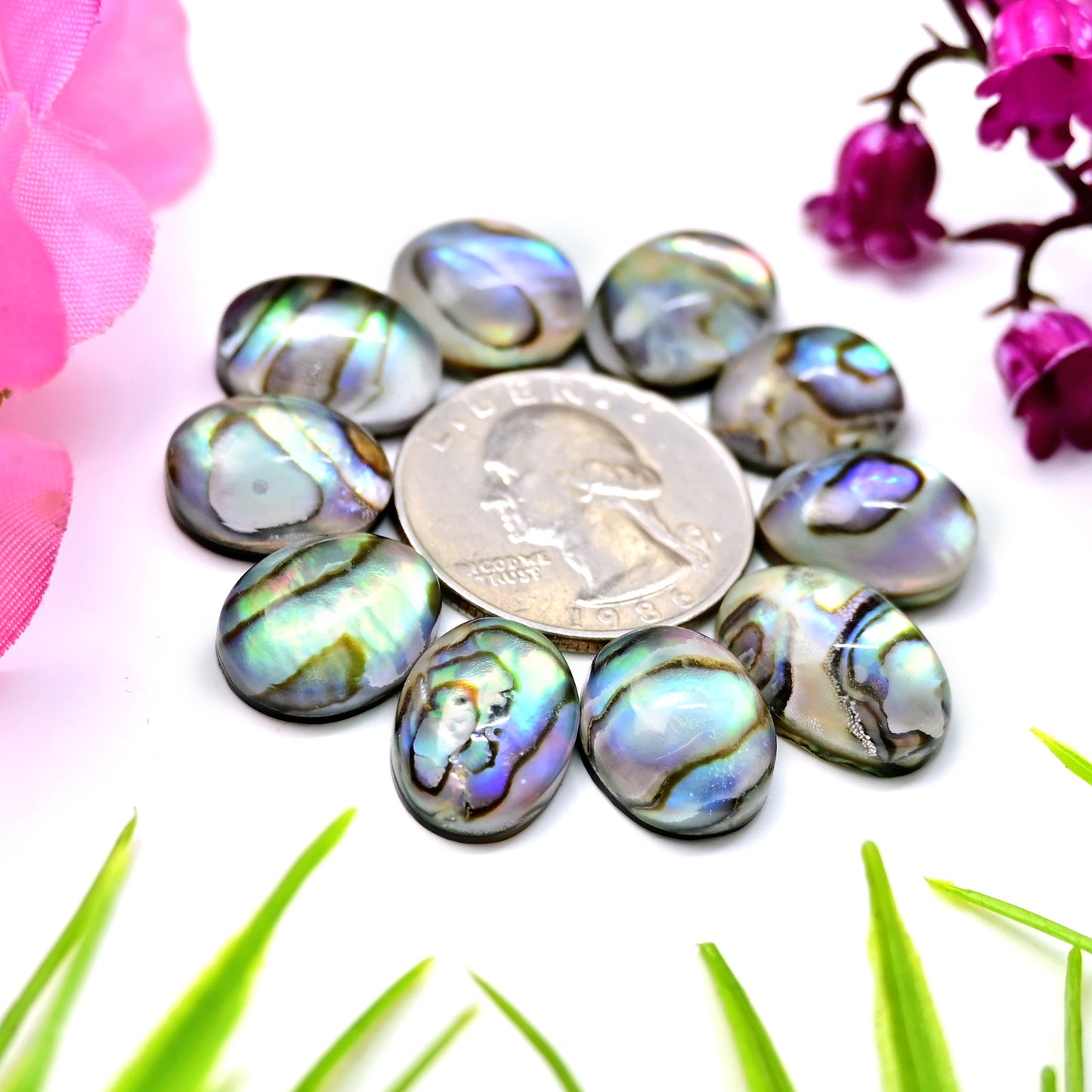 88.1cts Abalone Shell Doublet with Himalayan Crystal Quartz Smooth Cabochon 12X17mm - 11x14mm AA Grade Gemstone Parcel -Total 10 Pcs