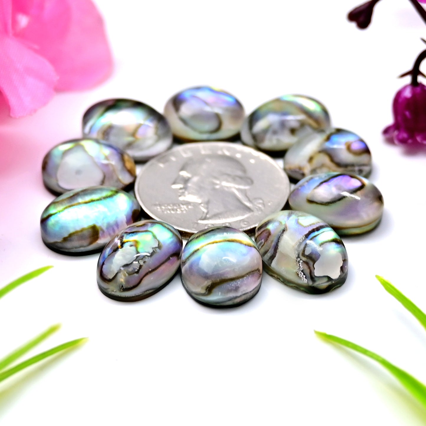 88,1 ct Abalone-Muschel-Dublette mit Himalaya-Bergkristall, glatter Cabochon, 12 x 17 mm – 11 x 14 mm, Edelsteinpaket der Güteklasse AA, insgesamt 10 Stück