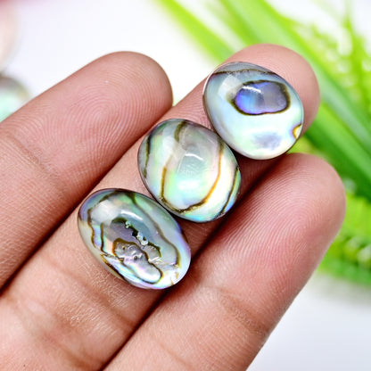 88,1 ct Abalone-Muschel-Dublette mit Himalaya-Bergkristall, glatter Cabochon, 12 x 17 mm – 11 x 14 mm, Edelsteinpaket der Güteklasse AA, insgesamt 10 Stück