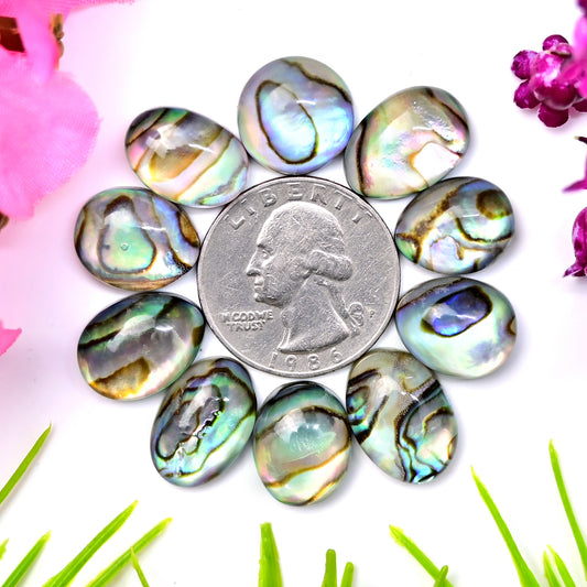 88,1 ct Abalone-Muschel-Dublette mit Himalaya-Bergkristall, glatter Cabochon, 12 x 17 mm – 11 x 14 mm, Edelsteinpaket der Güteklasse AA, insgesamt 10 Stück