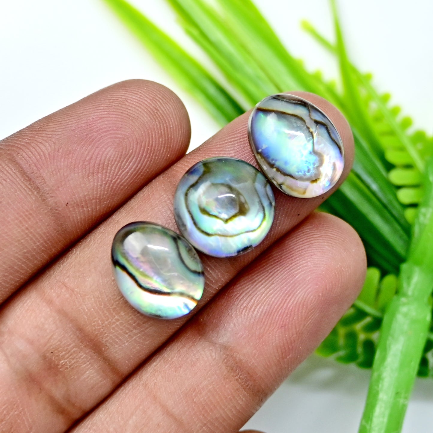 62.3cts Abalone Shell Smooth Cabochon 9x14mm - 13x13mm AA Grade Gemstone Parcel -Total 10 Pcs