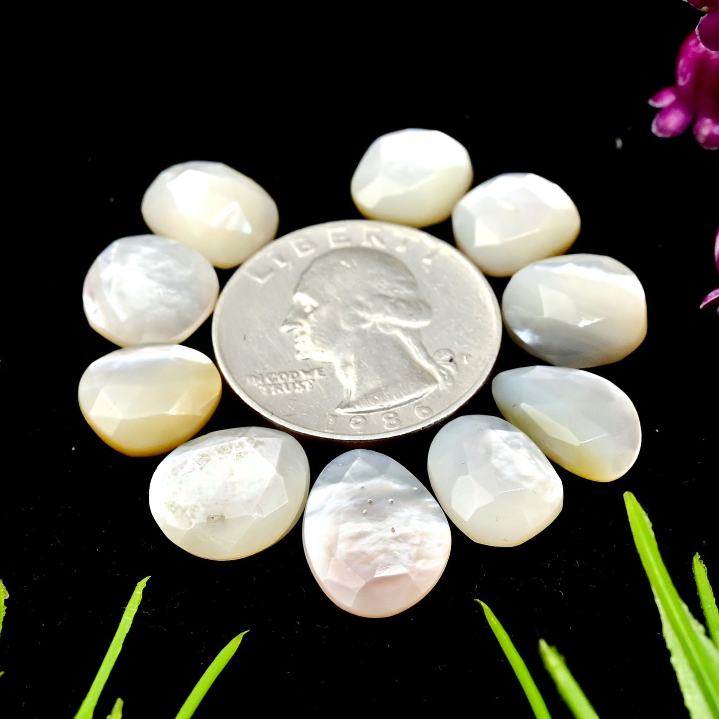 31.5cts Mother of Pearl Rose Cut Cabochons 9x14mm - 11x16mm Freeform Shape AA Grade Gemstone Parcel -Total 10 Pcs