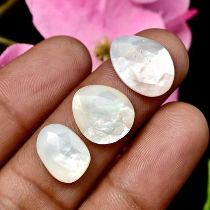 31,5 ct Perlmutt-Cabochons im Rosenschliff, 9 x 14 mm – 11 x 16 mm, Freiform, Edelsteinpaket der Güteklasse AA, insgesamt 10 Stück