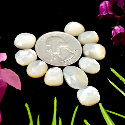 31.1 cts Mother of Pearl Rose Cut Cabochons 9x12mm - 11x15mm Freeform Shape AA Grade Gemstone Parcel -Total 10 Pcs