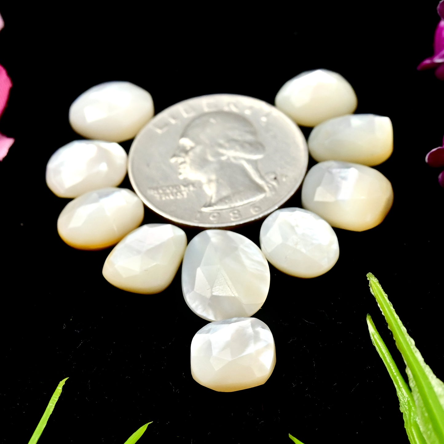 31.1 cts Mother of Pearl Rose Cut Cabochons 9x12mm - 11x15mm Freeform Shape AA Grade Gemstone Parcel -Total 10 Pcs