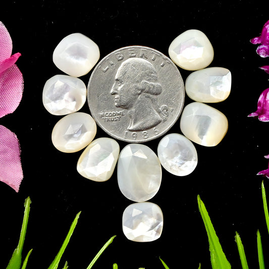 31.1 cts Mother of Pearl Rose Cut Cabochons 9x12mm - 11x15mm Freeform Shape AA Grade Gemstone Parcel -Total 10 Pcs