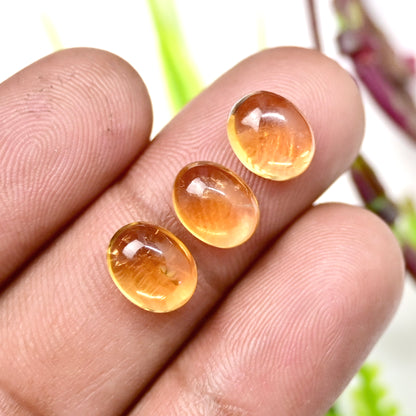 33.9cts Citrine Smooth Cabochon 7x9mm AA Grade Gemstone Parcel - Total 15 Pcs