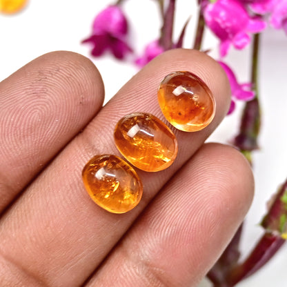 36.4cts Brandy Citrine Smooth Cabochon 8x10mm - 9x11mm AA Grade Gemstone Parcel - Total 10 Pcs