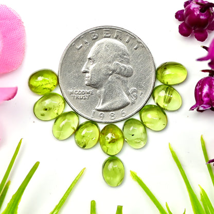 15.2cts Peridot Smooth Cabochon 6X8mm Oval Shape AA Grade Gemstone Parcel - Total 10 Pcs