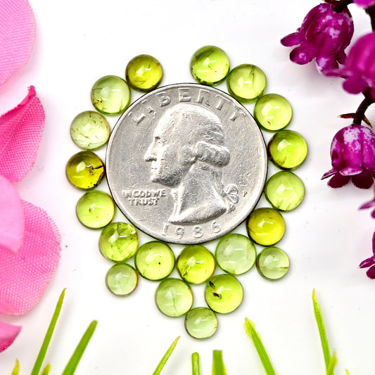 18 Karat Peridot, glatter Cabochon, 5 x 5 mm – 6 x 6 mm, runde Form, Edelsteinklasse AA, Paket – insgesamt 20 Stück