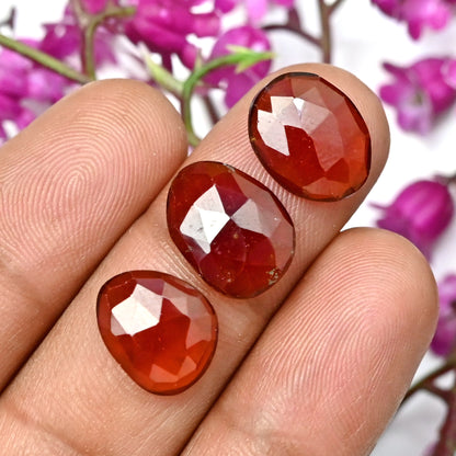 42.20cts Natural Hessonite 10x13mm - 9x11mm Garnet Rose Cut Cabochon Freeform Shape AA Grade Gemstone Parcel -Total 10 Pcs