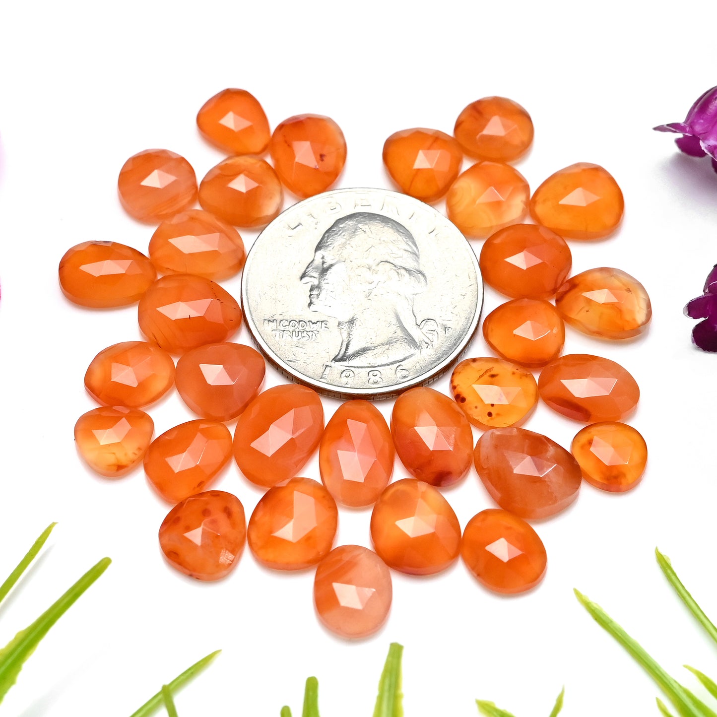 53.85cts Natural Carnelian 9x11mm - 7x9mm Rose Cut Cabochon Freeform Shape AA Grade Gemstone Parcel -Total 30 Pcs