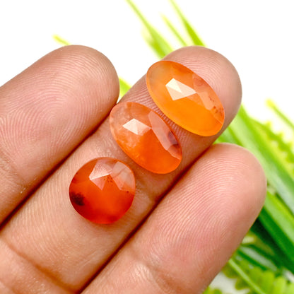 63.40cts Natural Carnelian 8x15mm - 7x10mm Freeform Rose Cut Cabochon AA Grade Gemstone Parcel -Total 30 Pcs