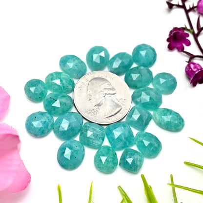 70.3cts Amazonite Rose Cut Cabochon 10x13mm - 9x14mm AA Grade Gemstone Parcel - Total 20 Pcs