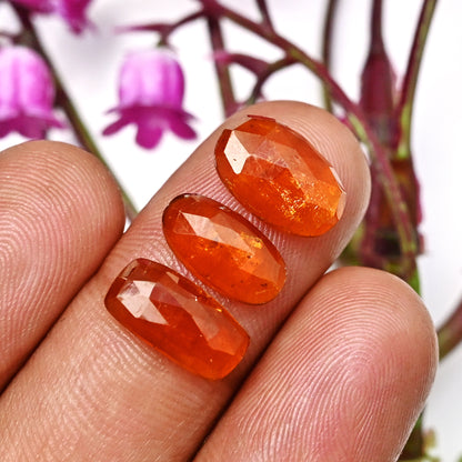 37.40cts. Orange Kyanite Rose Cut Cabs 8x12mm 6x12 Mix Oval Shape AA Grade Gemstone Parcel - Total 15 Pcs.