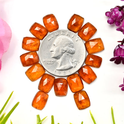 31,65 ct. Orangefarbener Kyanit im Rosenschliff, 7 x 9 mm, 6 x 8 mm, achteckige Form, Edelstein der Güteklasse AA, Paket – insgesamt 15 Stück