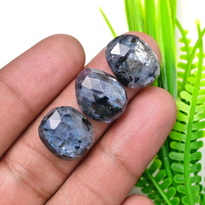 70.15cts Larvikite Rose Cut Cabochon 11x19mm - 13x15mm AA Grade Gemstone Parcel - Total 10 Pcs