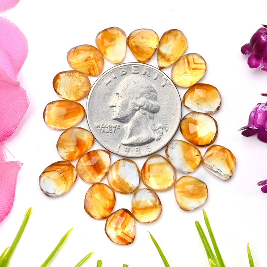 40.9cts Bio Citrine Rose Cut Cabochon 7x11mm - 8x11mm Free Form Shape AA Grade Gemstone Parcel -Total 20 Pcs