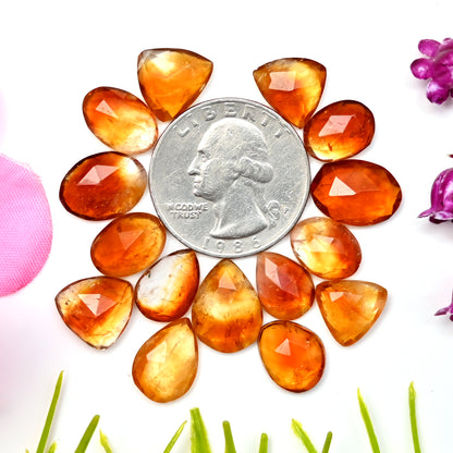 51.5cts Bio Citrine Rose Cut Cabochon 10x14mm - 8x11mm Free Form Shape AA Grade Gemstone Parcel -Total 15 Pcs