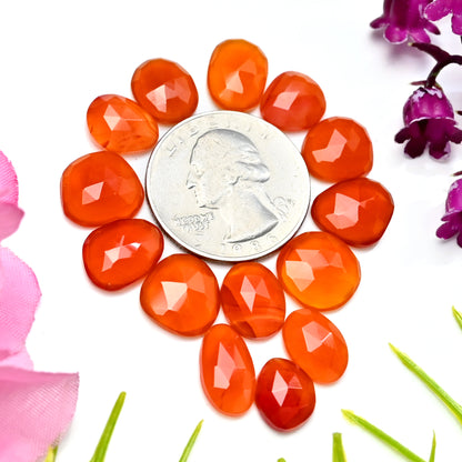 40.90cts Natural Carnelian 9x13mm - 7x13mm Freeform Rose Cut Cabochon AA Grade Gemstone Parcel -Total 14 Pcs