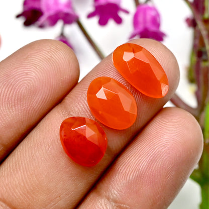 40.90cts Natural Carnelian 9x13mm - 7x13mm Freeform Rose Cut Cabochon AA Grade Gemstone Parcel -Total 14 Pcs