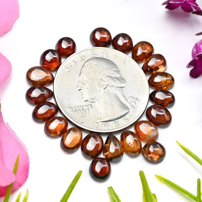 26.3cts Natural Brown Zircon Smooth Cabochon 5x7mm - 6x6mm AA Grade Gemstone Parcel - Total 20 Pcs