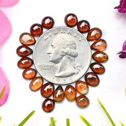 26.3cts Natural Brown Zircon Smooth Cabochon 5x7mm - 6x6mm AA Grade Gemstone Parcel - Total 20 Pcs