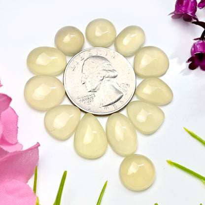 55.65cts Libyan Desert Glass Smooth Cabochon 10x14mm - 11x15mm  Freeform Shape AA Grade Gemstone Parcel -Total 12 Pcs