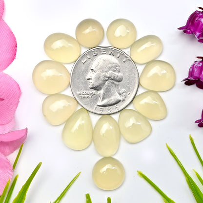 55.65cts Libyan Desert Glass Smooth Cabochon 10x14mm - 11x15mm  Freeform Shape AA Grade Gemstone Parcel -Total 12 Pcs