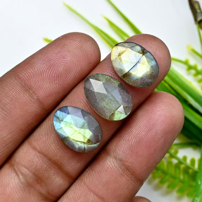 50.8cts Labradorite Rose Cut Cabochon 10x14mm - 9x11mm AA Grade Gemstone Parcel - Total 11 Pcs