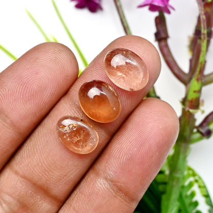 43.3cts Imperial Topaz Smooth Cabochon 8x12mm - 9x11mm Free Form Shape AA Grade Gemstone Parcel -Total 10 Pcs