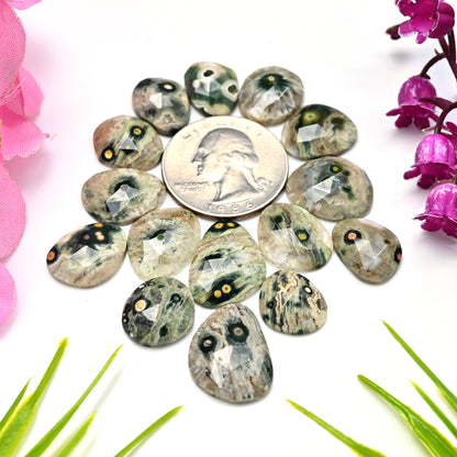 76.75carats Ocean Jasper  Mix Shape Cabochon 14x19mm - 10x14mm  AA Grade Gemstone Parcel - Total 15 Pcs