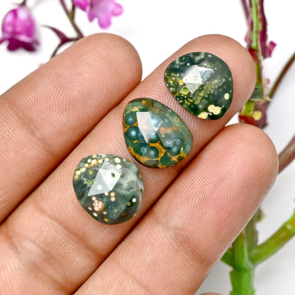 54,05 Karat Ozeanjaspis, Cabochon in gemischter Form, 11 x 13 mm – 12 x 14 mm, Edelsteinpaket der Güteklasse AA, insgesamt 15 Stück