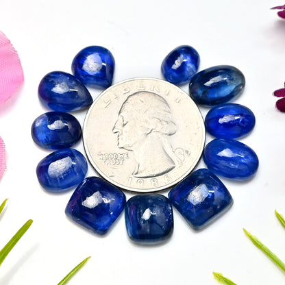 46,65 ct. Glatter blauer Kyanit-Cabochon, gemischte Form, 8 x 12 mm – 10 x 10 mm, Edelsteinpaket der Güteklasse AA, insgesamt 11 Stück