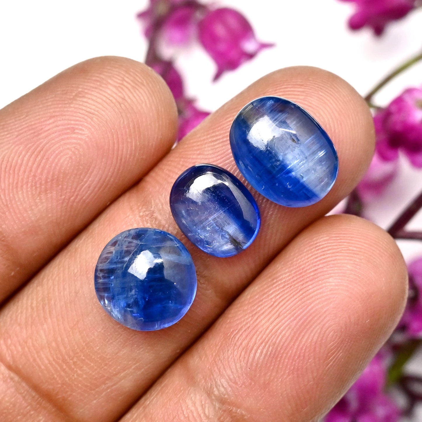 42,3 ct. Blauer Kyanit-Cabochon, 7 x 9 mm – 8 x 12 mm, ovale Form, Edelstein der Güteklasse AA, Paket – insgesamt 10 Stück