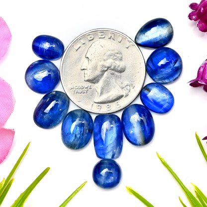 42.3cts. Blue Kyanite Cabochon  7x9mm - 8x12mm Oval Shape AA Grade Gemstone Parcel - Total 10 Pcs