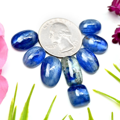 67,30 ct. Glatter blauer Kyanit-Cabochon, gemischte Form, 11 x 17 mm – 9 x 13 mm, Edelsteinpaket der Güteklasse AA, insgesamt 8 Stück