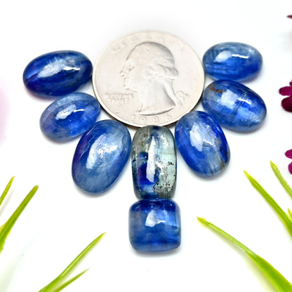 67.30cts. Blue Kyanite Smooth Cabochon Mix Shape 11x17mm - 9x13mm AA Grade Gemstone Parcel - Total 8 Pcs