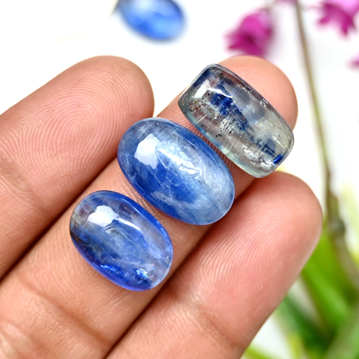 67,30 ct. Glatter blauer Kyanit-Cabochon, gemischte Form, 11 x 17 mm – 9 x 13 mm, Edelsteinpaket der Güteklasse AA, insgesamt 8 Stück