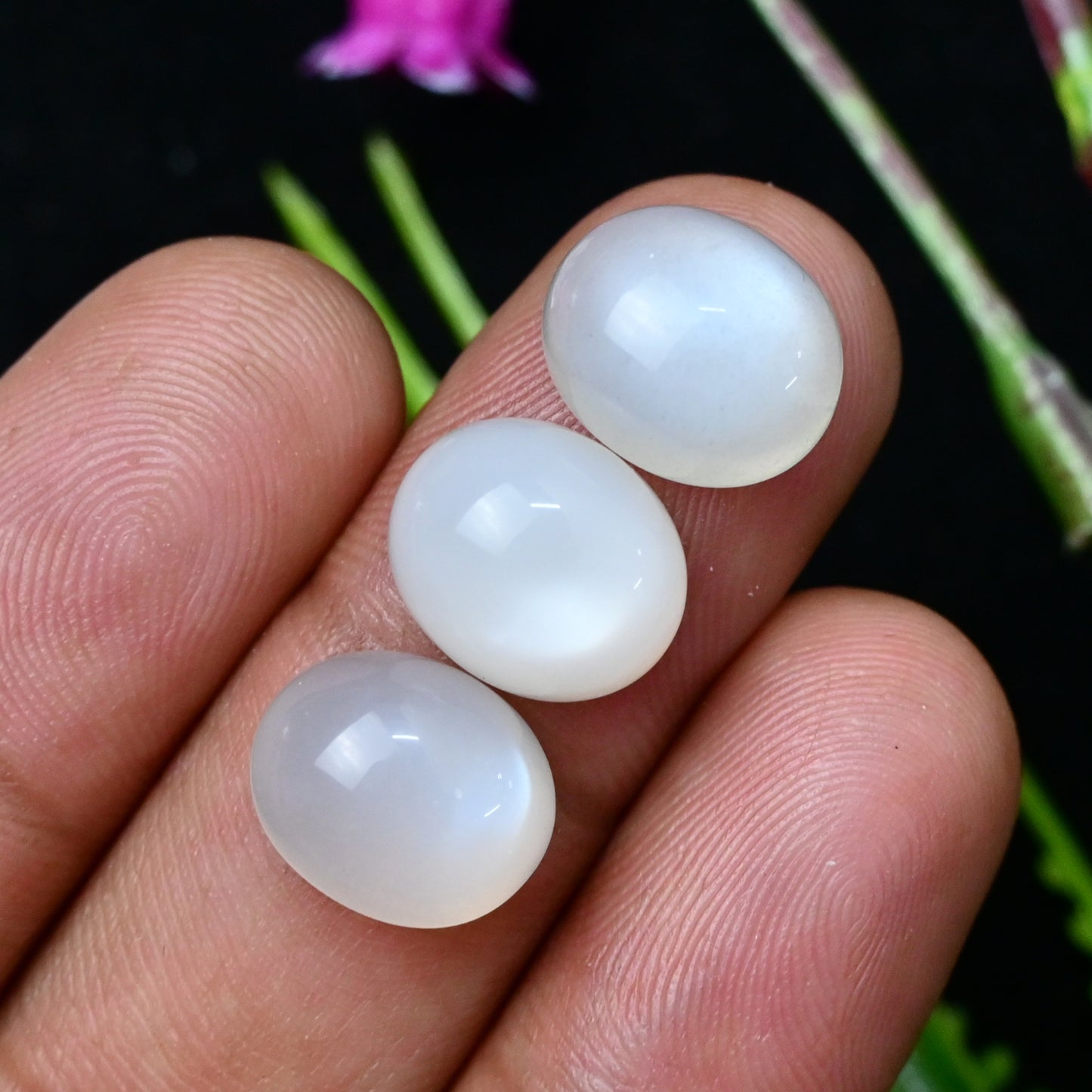 67.3cts White Moonstone Smooth Cabochon 11x17mm - 9x13mm Oval Shape AA Grade Gemstone Parcel -Total 8 Pcs